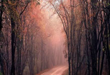 雷加内斯遭遇失利，联赛前景黯淡：一场风暴中的挣扎与反思