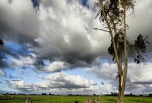 雷加内斯遭遇失利，联赛前景黯淡：一场风暴中的挣扎与反思