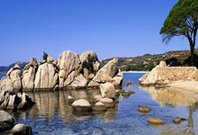 雷加内斯遭遇失利，联赛前景黯淡：一场风暴中的挣扎与反思