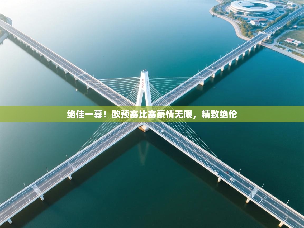 绝佳一幕！欧预赛比赛豪情无限，精致绝伦  第2张