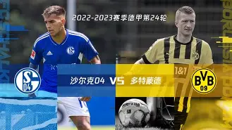 施普林加莱重获胜利重振雄风
